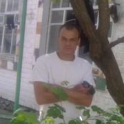  ,  vel, 41