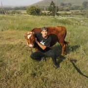 ���������� ����-�����, ������� �������, 39