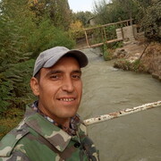  ,   Shavkat, 44 ,     , c 