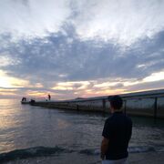 ���������� ������-��-����, ���� ������� ������������, 33 ����, ������������ ��� ������, ����� � ���������, c�������� ���������, ���������