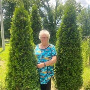  ,   , 74 ,   