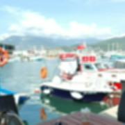  ,   , 44 ,   ,   , c , 
