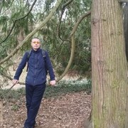  ,   , 43 ,   ,   