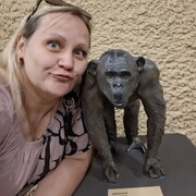 ���������� ������ �����, ���� ������� ��������, 43 ����, ������������ ��� ������, ����� � ���������