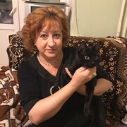  --,   , 55 ,  
