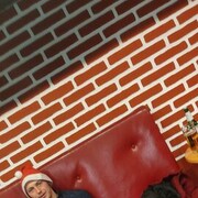 ���������� ������, ���� ������� ���������, 28 ���, ������������ ��� ������, ����� � ���������, c�������� ���������, ���������