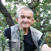  ,   , 65 ,   ,   