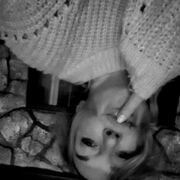 ���������� ����-���������, ���� ������� ������, 44 ����, ������������ ��� ������, ����� � ���������