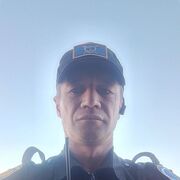  -,   , 43 ,   c 