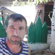  ,   Wolf, 41 ,   