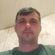  -,   , 41 ,  