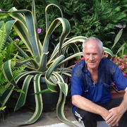  ,   VIKTOR, 67 ,  