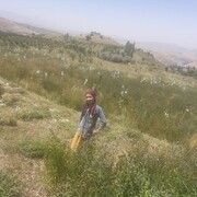 ���������� ������, ���� ������� �����, 47 ���, ������������ ��� ������, ����� � ���������