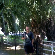  -,   , 38 ,   ,   , c 