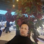  ,   , 43 ,   ,   