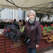 ���������� �����, ���� ������� ���, 62 ����, ������������ ��� ������, ����� � ���������, c�������� ���������