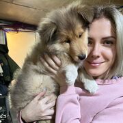 ���������� ����������, ���� ������� ���, 40 ���, ������������ ��� c�������� ���������