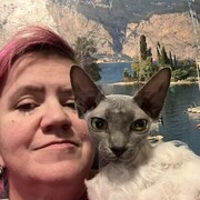 ���������� ������, ���� ������� ����, 52 ����, ������������ ��� ����� � ���������, c�������� ���������