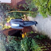  ,   Nikos, 73 ,   ,   , c 