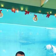 ���������� ��������, ������� ��������, 35