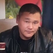  ,  qonis, 40