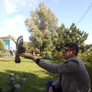  ,   , 37 ,   , 