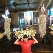 ���������� ���������, ���� ������� ����, 37 ���, ������������ ��� ������, ����� � ���������, c�������� ���������