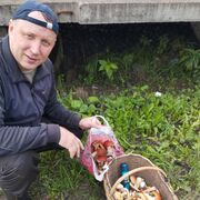 ���������� �����, ���� ������� ����, 50 ���, ������������ ��� ������, ����� � ���������