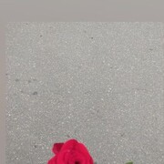 ,  , 28
