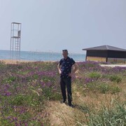 ���������� �����������, ���� ������� ������, 44 ����, ������������ ��� c�������� ���������