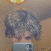 ���������� ���������, ���� ����� ����, 23 ����, ������������ ��� ������, ����� � ���������