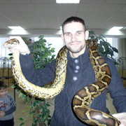 ���������� ����, ���� ������� ������, 41 ���, ������������ ��� ������, ����� � ���������, c�������� ���������