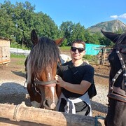  ,   , 29 ,     , c , 