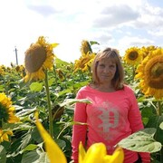  ,   , 44 ,   c 