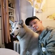 ���������� �������, ���� ������� ����, 43 ����, ������������ ��� c�������� ���������