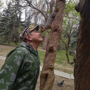  ,   , 55 ,   ,   , c , 