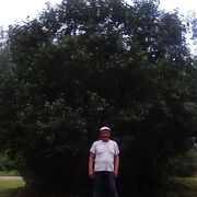  ,   , 55 ,   c , 