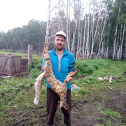 ���������� ���������, ���� ������� ����, 44 ����, ������������ ��� ����� � ���������, c�������� ���������