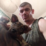  ,   , 41 ,   ,   , c , 