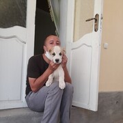 ���������� �������, ���� ������� BecK, 51 ���, ������������ ��� ������, ����� � ���������, c�������� ���������