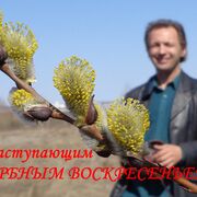  ,   , 51 ,     , c 