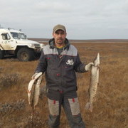 ���������� ������, ���� ������� ����, 54 ����, ������������ ��� ������, ����� � ���������, c�������� ���������