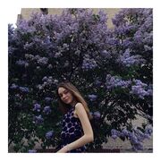 ���������� ������, ���� ������� �����, 24 ����, ������������ ��� ������, ����� � ���������