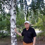 ���������� ��������, ���� ������� ��������, 71 ���, ������������ ��� ������, ����� � ���������