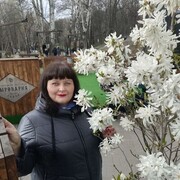  ,   , 51 ,  
