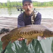  ,   , 55 ,   ,   