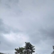 ���������� ���������, ���� ������� ����, 44 ����, ������������ ��� ������, ����� � ���������, c�������� ���������