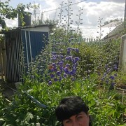 ���������� �������-�����, ���� ������� ������, 49 ���, ������������ 