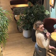  ,   , 24 ,   c 