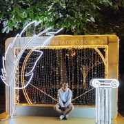 ���������� ������, ���� ������� ����, 36 ���, ������������ ��� ������, ����� � ���������, c�������� ���������, ���������